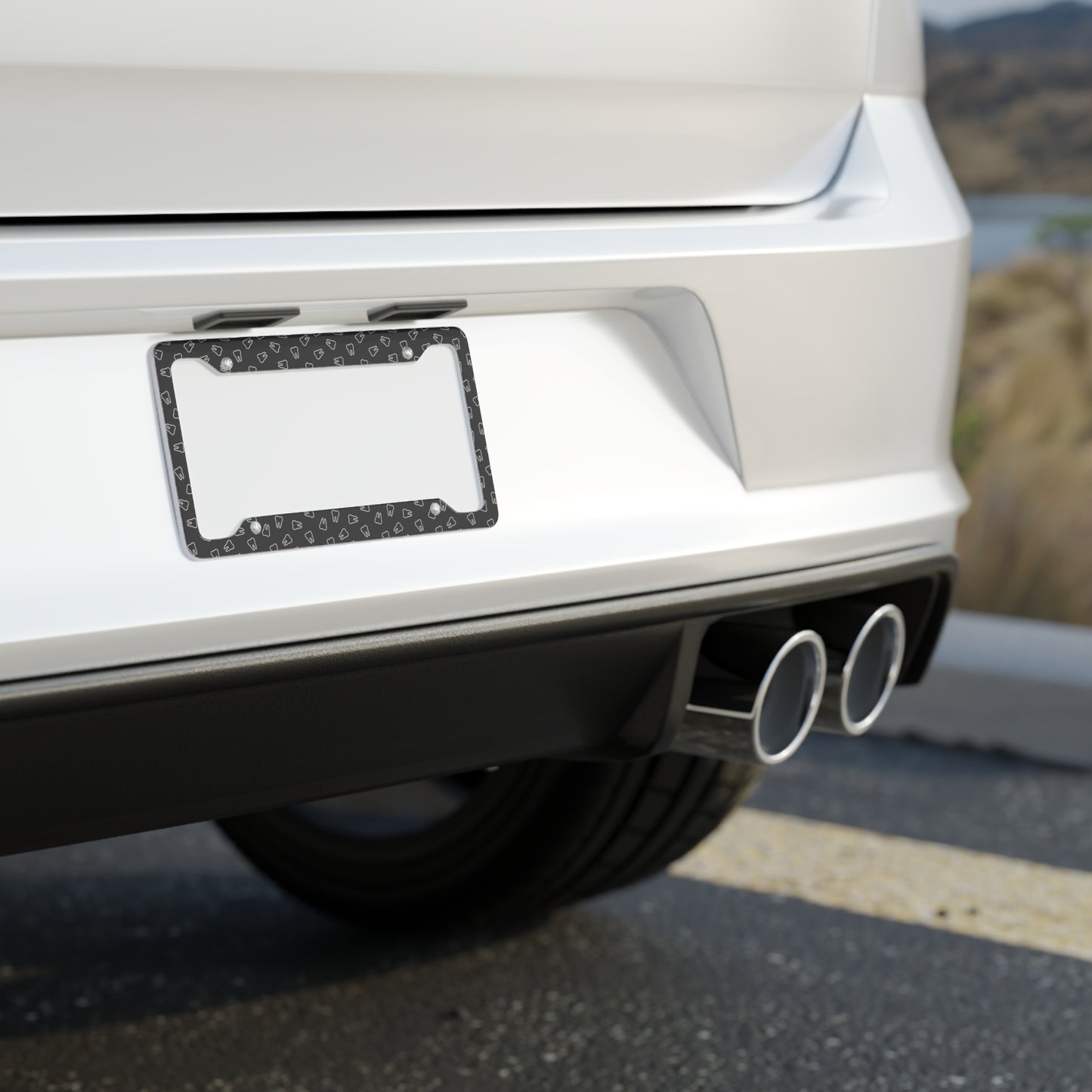 Dental License Plate Frame